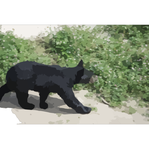 Bear PNG Clip art