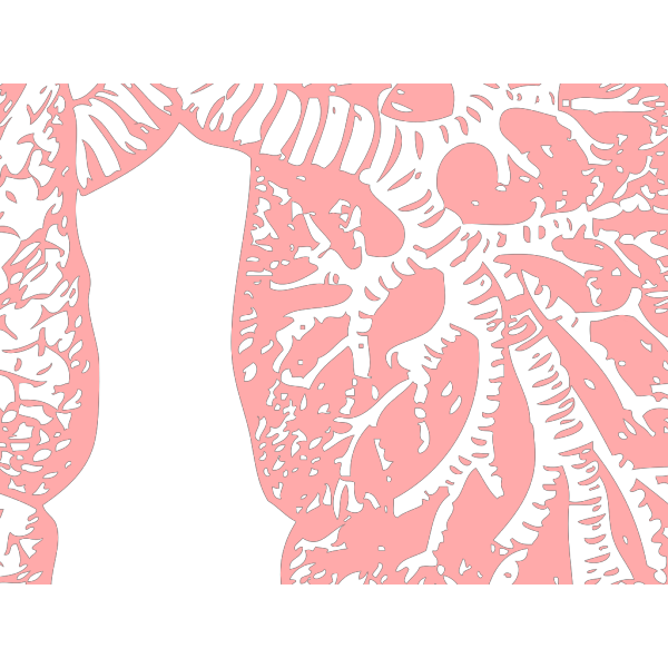 Lungs PNG images