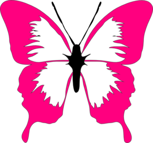 Butterfly PNG images