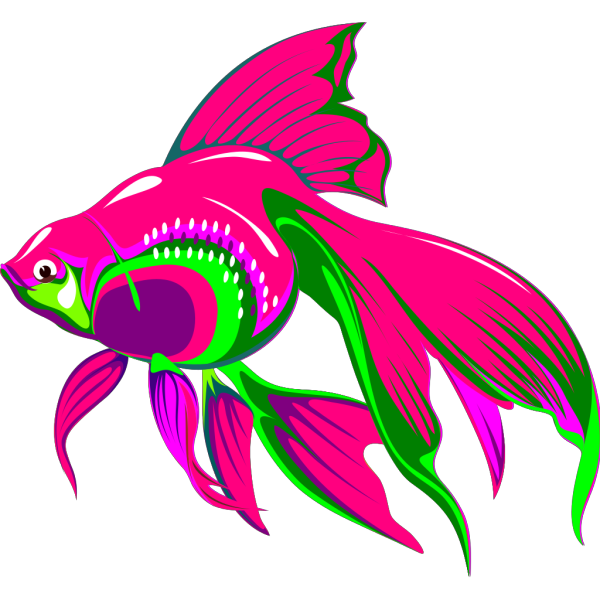 Gold Fish PNG Clip art