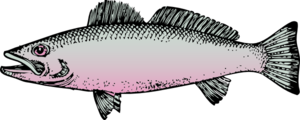 Fish PNG Clip art