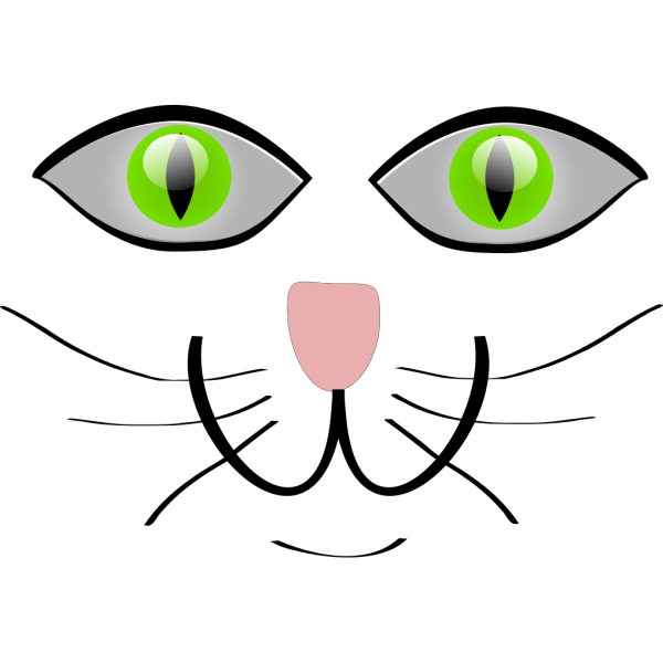 Cat Face Features PNG Clip art