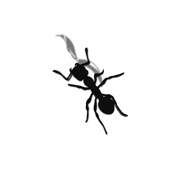 Ants PNG Clip art