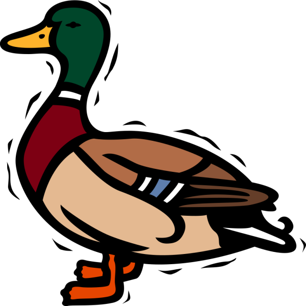 Shaking Duck PNG Clip art