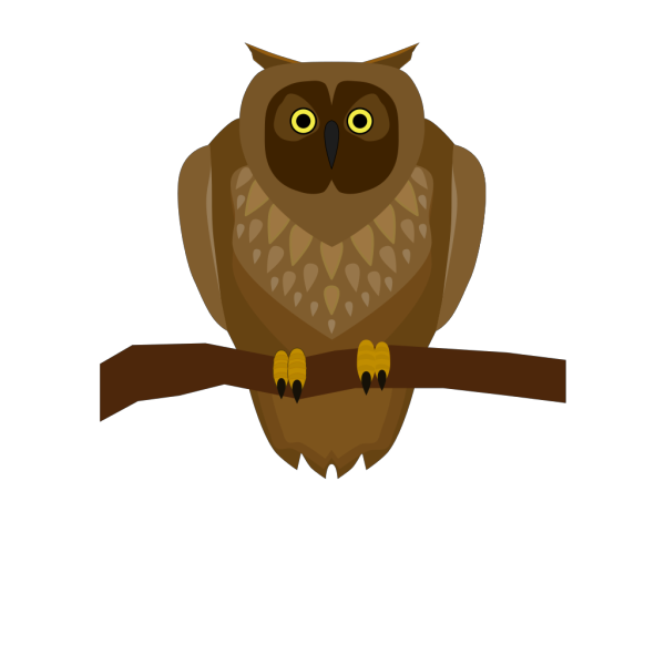 Owl Sitting On A Branch PNG Clip art
