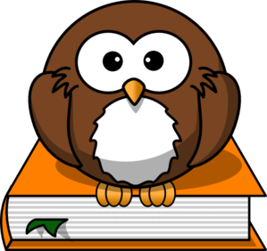 Wise Owl PNG Clip art