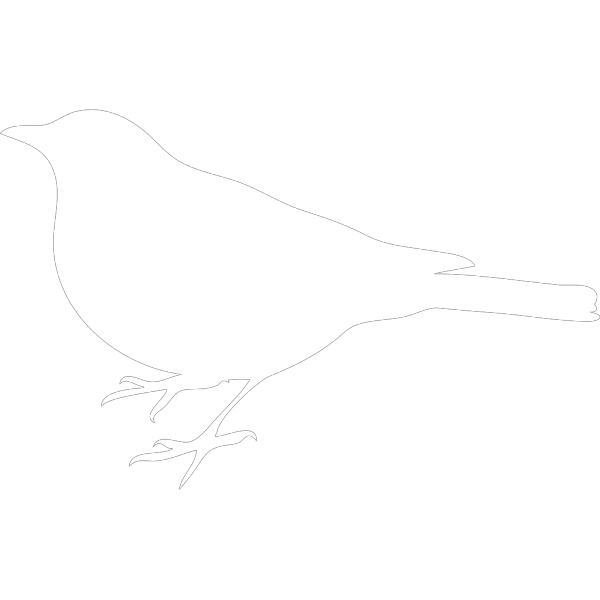 White Bird PNG Clip art