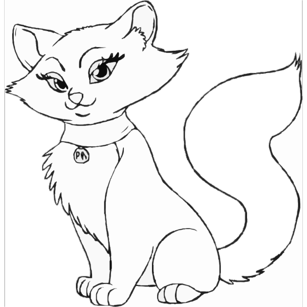 How To Draw A Cartoon Cat Step PNG images