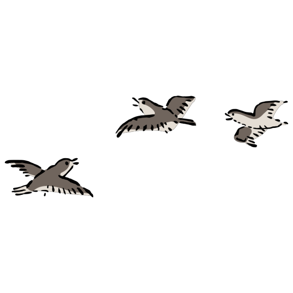 Birds Flying PNG Clip art