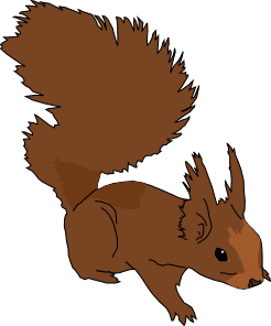 Cartoon Squirrel PNG Clip art