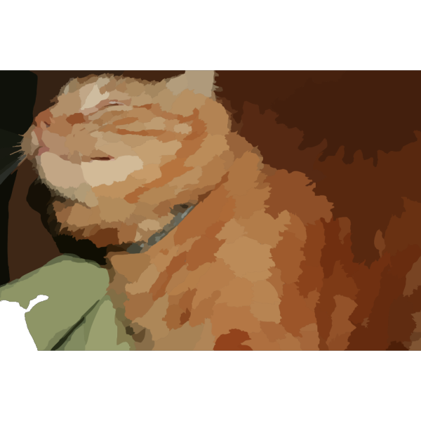 Cat PNG Clip art