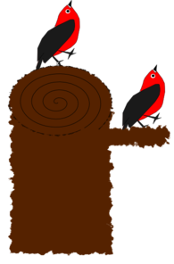 Birds on a Branch PNG Clip art