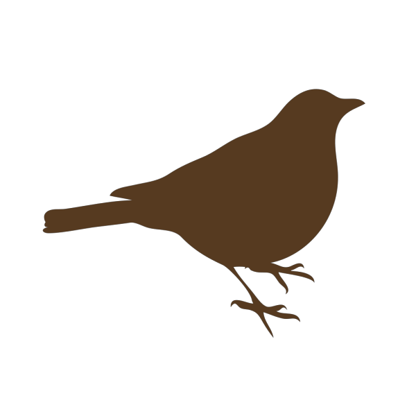 Brown Song Bird PNG Clip art