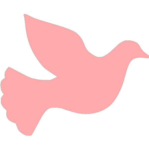 Pink Dove PNG Clip art