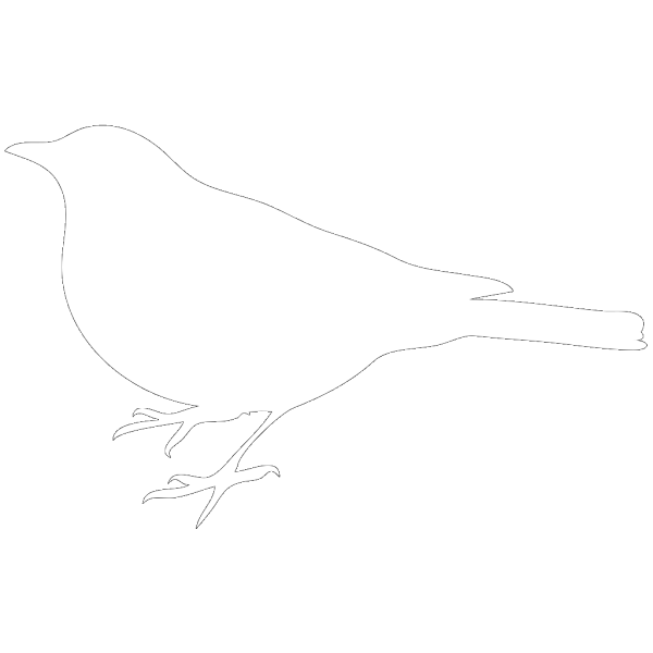 White Bird On Black Background PNG Clip art