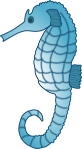 Seahorse PNG images