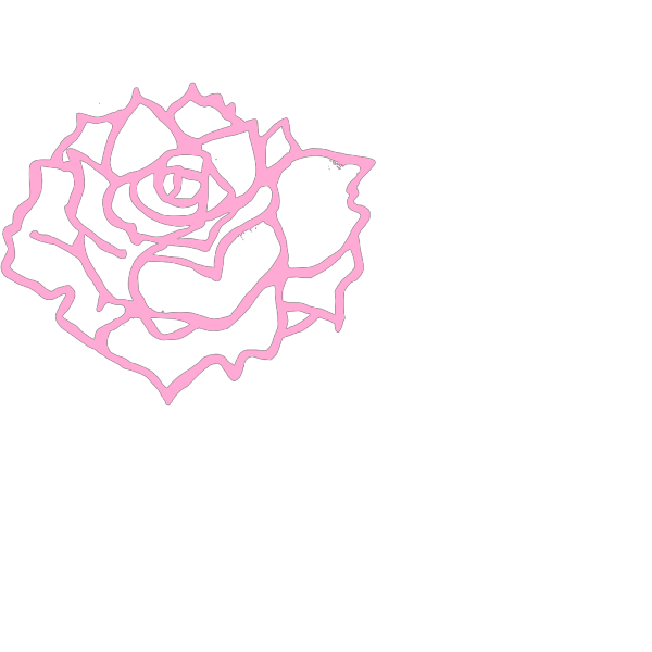 Pink Full Bloom PNG images