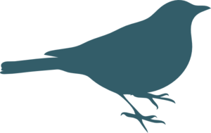 Teal Bird Silhouette PNG Clip art