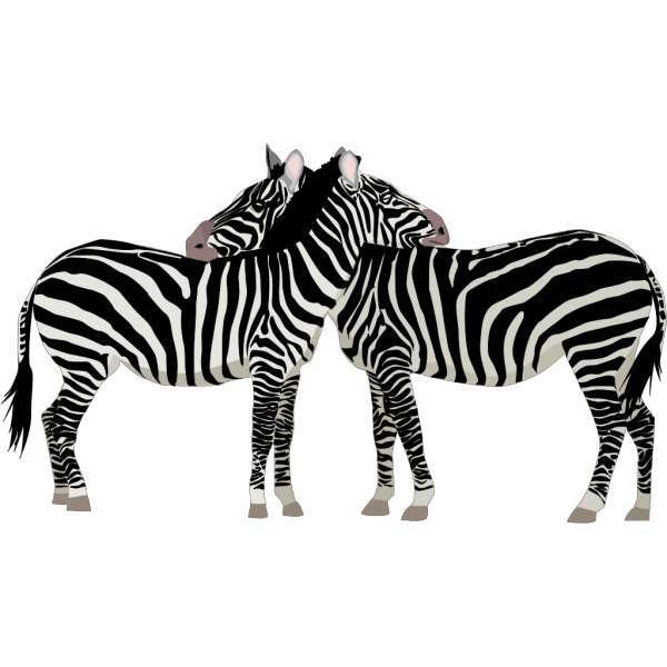 Zebras PNG Clip art
