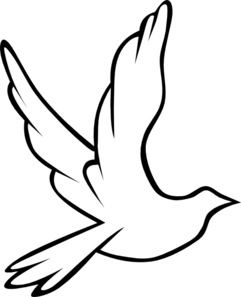 Flying Dove PNG image