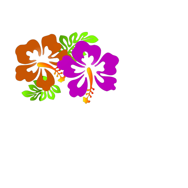 Hibiscus 16 PNG Clip art