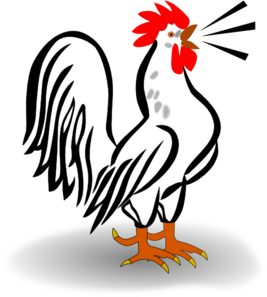 Rooster PNG Clip art