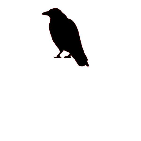 Black Crow PNG image