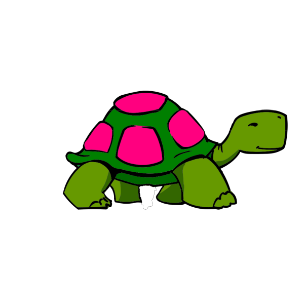Turtle PNG images