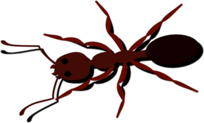 Ant PNG Clip art