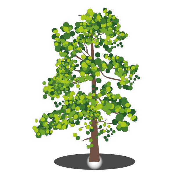Tree Branches PNG images