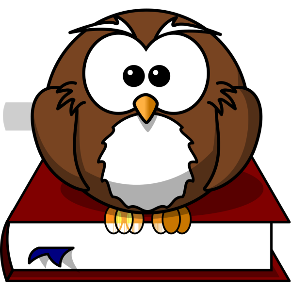 Wise Owl PNG Clip art