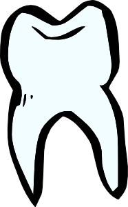 Tooth With Blue Outline PNG Clip art