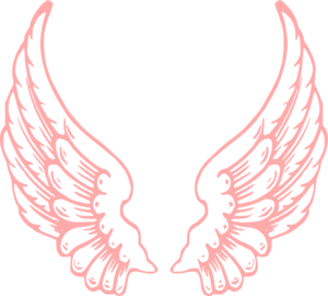 Pink Wings PNG Clip art