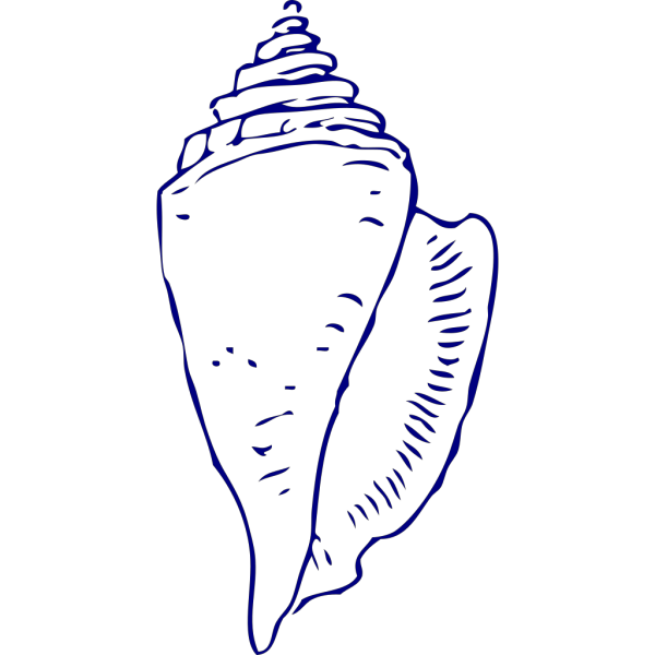 Sea Shell 4 PNG Clip art
