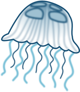 Jellyfish PNG Clip art