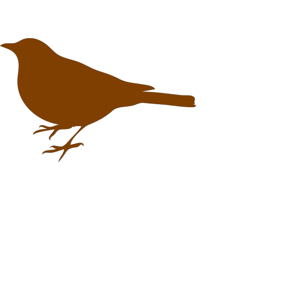 Bird PNG Clip art