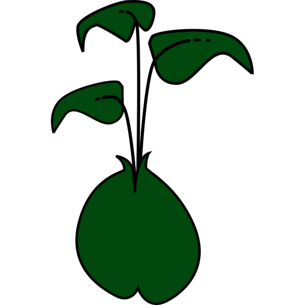 Green Plant PNG Clip art