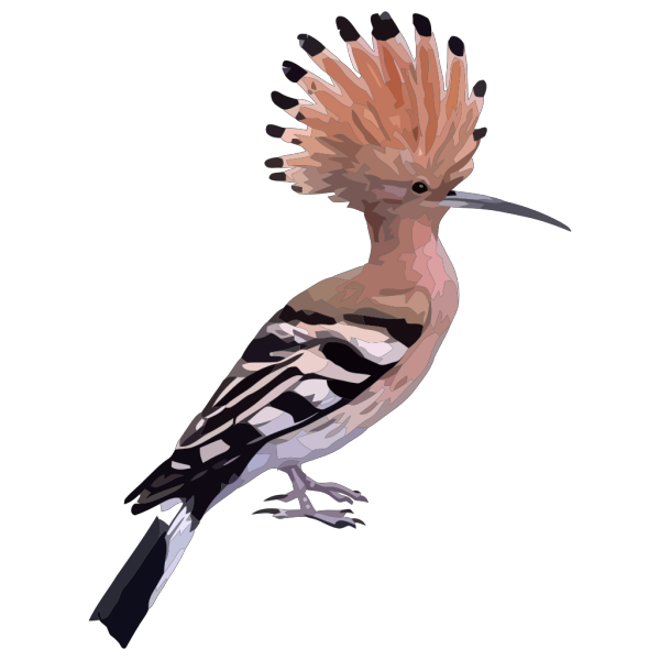 Bird With Long Feathers PNG images