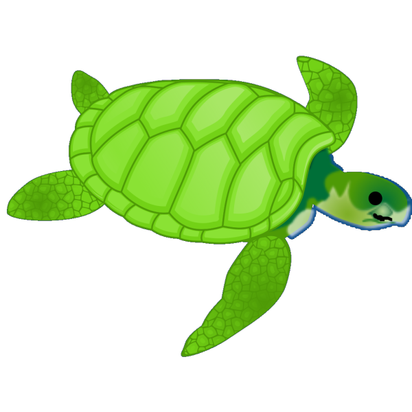 Teal Sea Turtle PNG Clip art