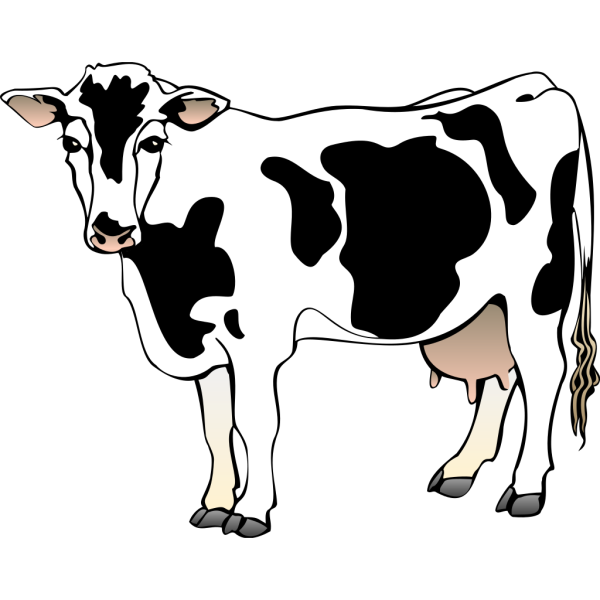Dairy Cow PNG Clip art