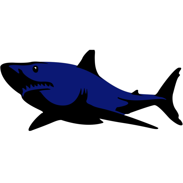Shark PNG Clip art