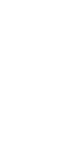 Penguin Jumping PNG Clip art