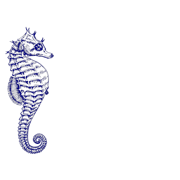 Blue Green Seahorse PNG images