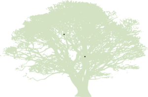 Gradient Green Tree PNG Clip art