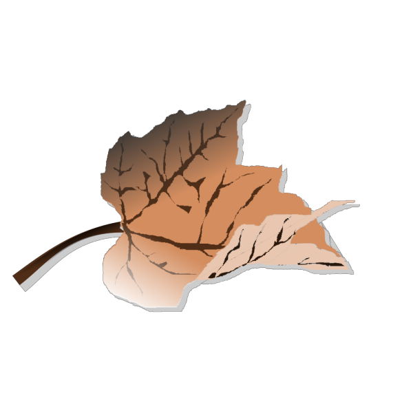Brown Leaf PNG Clip art