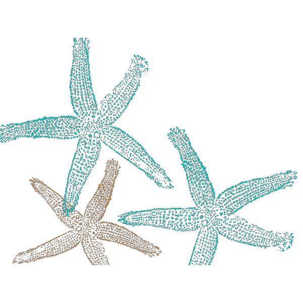 Starfish Prints PNG Clip art