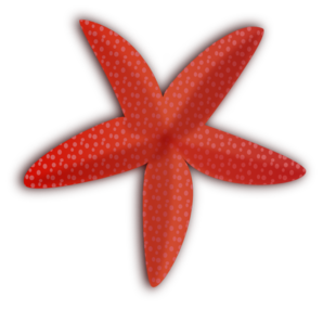 Starfish Print PNG Clip art
