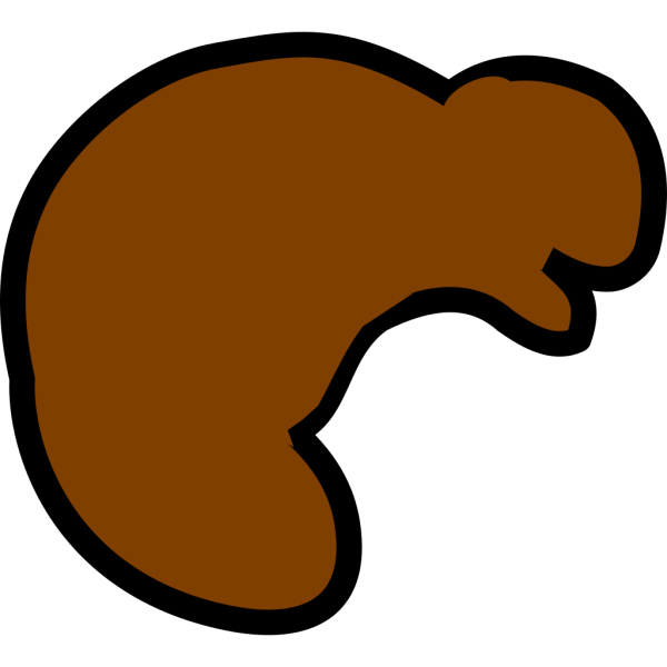 Beaver PNG Clip art