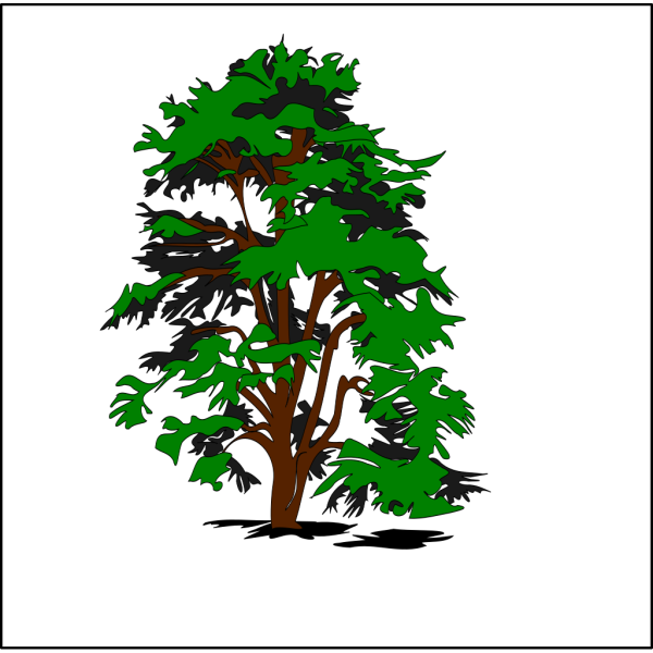 Climbing Tree PNG images