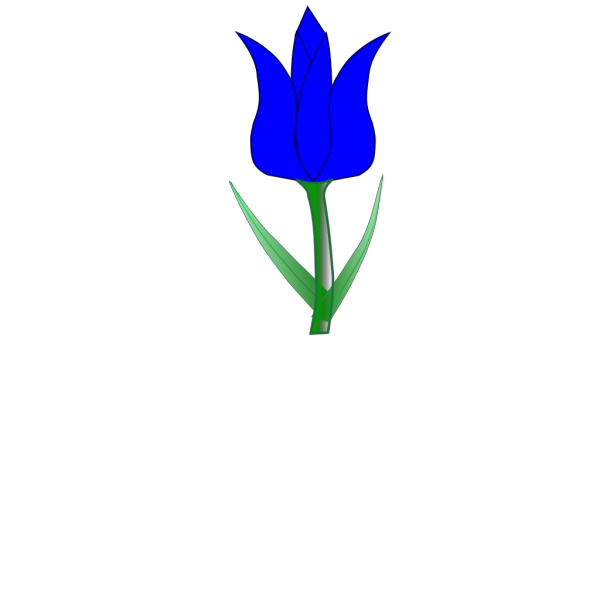 Tulip PNG images